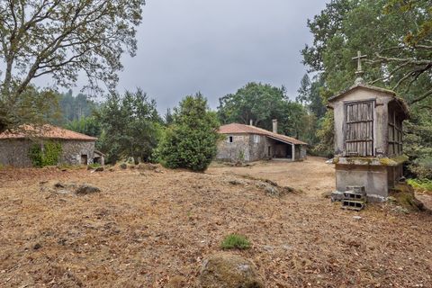 Farm hus i Silleda, Pontevedra, Silleda - € 199.000 | Ref: 2475 - foto 24