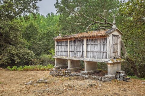 Farm hus i Silleda, Pontevedra, Silleda - € 199.000 | Ref: 2475 - foto 25