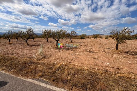 Landejendom i Taberno, Almeria, Taberno - € 80.000 | Ref: 2825 - foto 14