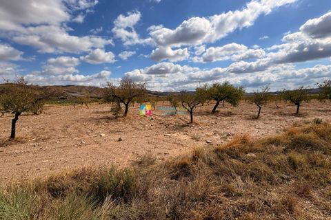 Landejendom i Taberno, Almeria, Taberno - € 80.000 | Ref: 2825 - foto 15