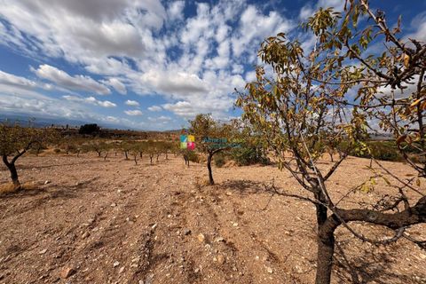 Landejendom i Taberno, Almeria, Taberno - € 80.000 | Ref: 2825 - foto 16
