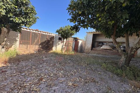 Villa i Ourique, Beja, Ourique - € 335.000 | Ref: ABI-0078 - foto 18