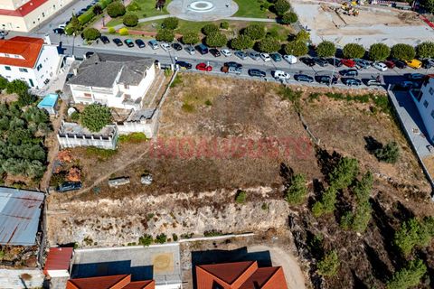 Terra a Celorico da Beira, Guarda, Celorico da Beira - € 60.000 | Ref: PAR_2335 - foto 4