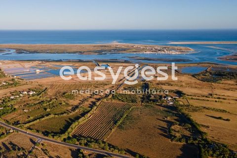 Helårsgrund i Quelfes, Faro, Quelfes - € 495.000 | Ref: AL89129TV - foto 12