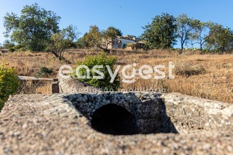 Helårsgrund i Quelfes, Faro, Quelfes - € 495.000 | Ref: AL89129TV - foto 14