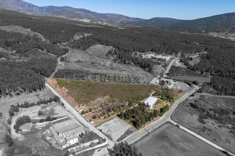 Erhvervsejendom i Erada, Castelo Branco, Erada - € 198.000 | Ref: C0473-00265 - foto 9