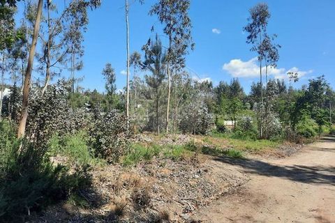 Helårsgrund i Trofa, Porto, Trofa - € 60.000 | Ref: 120781557-3 - foto 2