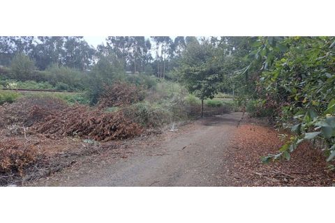 Helårsgrund i Trofa, Porto, Trofa - € 60.000 | Ref: 120781557-3 - foto 4