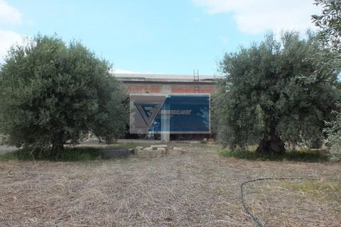 Villa i Noto, Siracusa, Noto - € 239.000 | Ref: AV VMAR 12 - foto 7