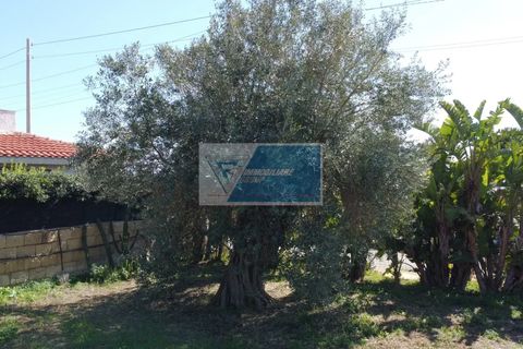 Villa i Noto, Siracusa, Noto - € 239.000 | Ref: AV VMAR 12 - foto 15