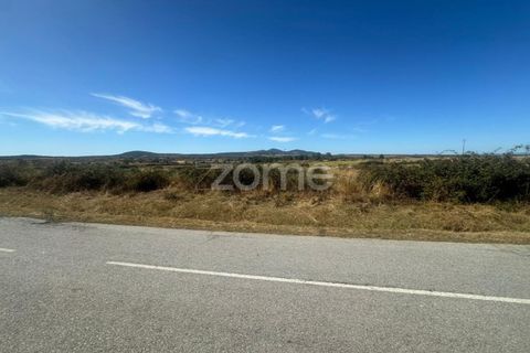 Terra a Mata de Lobos, Guarda, Mata de Lobos - € 42.500 | Ref: ZMPT581124 - foto 8
