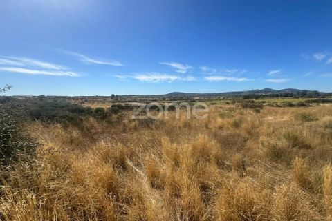 Terra a Mata de Lobos, Guarda, Mata de Lobos - € 42.500 | Ref: ZMPT581124 - foto 9