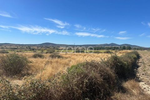 Terra a Mata de Lobos, Guarda, Mata de Lobos - € 42.500 | Ref: ZMPT581124 - foto 10