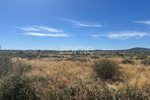 Terra a Mata de Lobos, Guarda, Mata de Lobos - € 42.500 | Ref: ZMPT581124 - foto 11