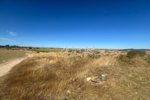 Terra a Mata de Lobos, Guarda, Mata de Lobos - € 42.500 | Ref: ZMPT581124 - foto 2