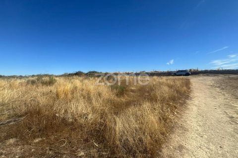 Terra a Mata de Lobos, Guarda, Mata de Lobos - € 42.500 | Ref: ZMPT581124 - foto 3