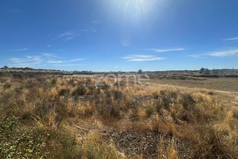 Terra a Mata de Lobos, Guarda, Mata de Lobos - € 42.500 | Ref: ZMPT581124 - foto 4