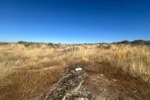 Terra a Mata de Lobos, Guarda, Mata de Lobos - € 42.500 | Ref: ZMPT581124 - foto 5