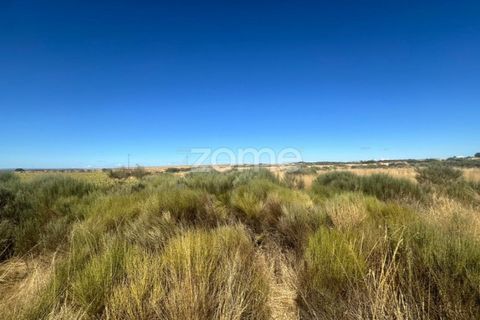 Terra a Mata de Lobos, Guarda, Mata de Lobos - € 42.500 | Ref: ZMPT581124 - foto 6