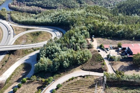 Terra a Penacova, Coimbra, Penacova - € 59.800 | Ref: ZMPT581040 - foto 3
