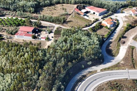 Terra a Penacova, Coimbra, Penacova - € 59.800 | Ref: ZMPT581040 - foto 4