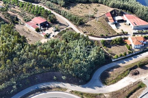 Terra a Penacova, Coimbra, Penacova - € 59.800 | Ref: ZMPT581040 - foto 14