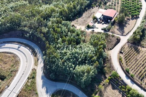 Terra a Penacova, Coimbra, Penacova - € 59.800 | Ref: ZMPT581040 - foto 15