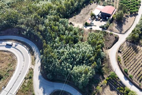 Terra a Penacova, Coimbra, Penacova - € 59.800 | Ref: ZMPT581040 - foto 2