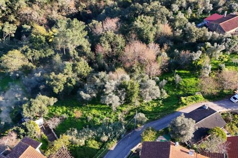 Helårsgrund i Coimbra, Coimbra, Coimbra - € 169.000 | Ref: ZMPT573753 - foto 2