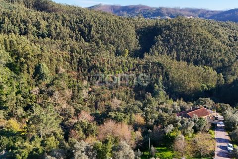 Helårsgrund i Coimbra, Coimbra, Coimbra - € 169.000 | Ref: ZMPT573753 - foto 4