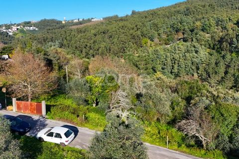 Helårsgrund i Coimbra, Coimbra, Coimbra - € 169.000 | Ref: ZMPT573753 - foto 6