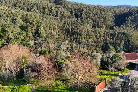 Helårsgrund i Coimbra, Coimbra, Coimbra - € 169.000 | Ref: ZMPT573753 - foto 7