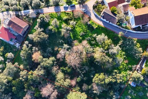 Helårsgrund i Coimbra, Coimbra, Coimbra - € 169.000 | Ref: ZMPT573753 - foto 8