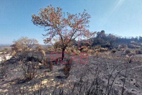 Terra a Guilheiro, Guarda, Guilheiro - € 15.000 | Ref: 243C/ 2025 - foto 2