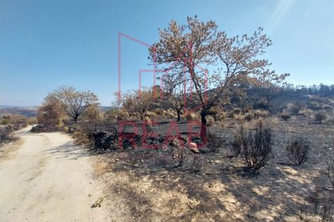 Terra a Guilheiro, Guarda, Guilheiro - € 15.000 | Ref: 243C/ 2025 - foto 5