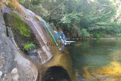 Villa a Resende, Viseu, Resende - € 85.000 | Ref: PROMAG#242 - foto 47