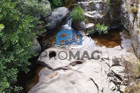 Villa a Resende, Viseu, Resende - € 85.000 | Ref: PROMAG#242 - foto 50