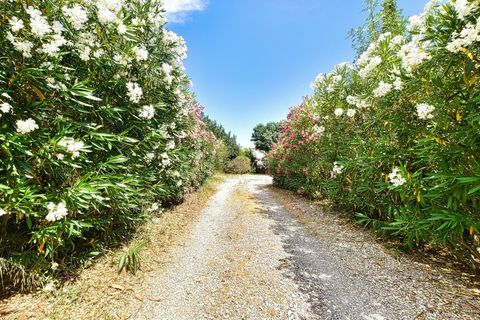 Villa i Plaissan, Herault, Plaissan - € 450.000 | Ref: 830033091365 - foto 19