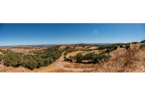 Farm i Evora, Evora, Evora - € 277.000 | Ref: 2608 - foto 8