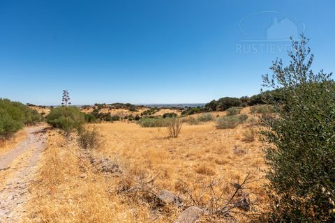 Farm i Evora, Evora, Evora - € 277.000 | Ref: 2608 - foto 9