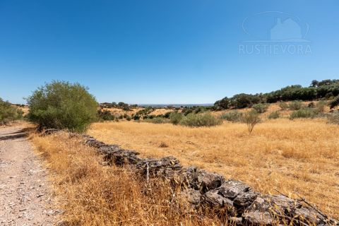 Farm i Evora, Evora, Evora - € 277.000 | Ref: 2608 - foto 10