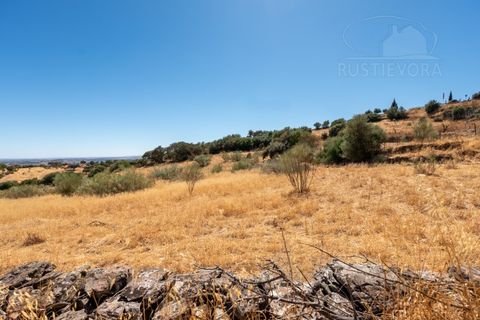 Farm i Evora, Evora, Evora - € 277.000 | Ref: 2608 - foto 12
