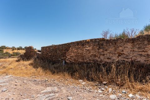 Farm i Evora, Evora, Evora - € 277.000 | Ref: 2608 - foto 13