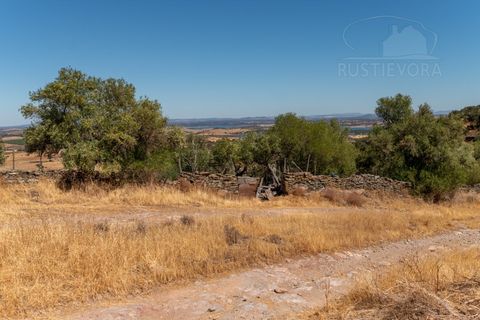 Farm i Evora, Evora, Evora - € 277.000 | Ref: 2608 - foto 16