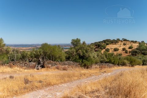 Farm i Evora, Evora, Evora - € 277.000 | Ref: 2608 - foto 17