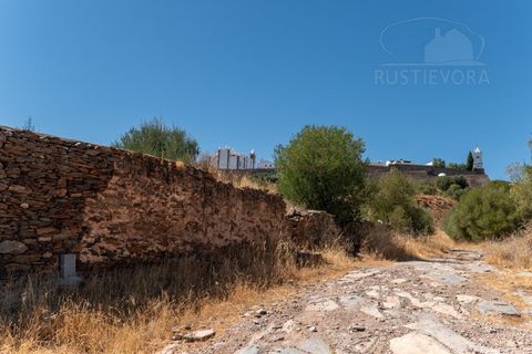 Farm i Evora, Evora, Evora - € 277.000 | Ref: 2608 - foto 18