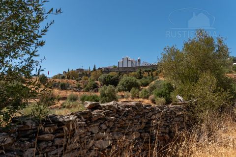 Farm i Evora, Evora, Evora - € 277.000 | Ref: 2608 - foto 20