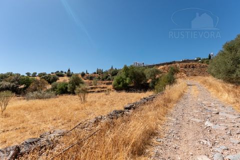 Farm i Evora, Evora, Evora - € 277.000 | Ref: 2608 - foto 21
