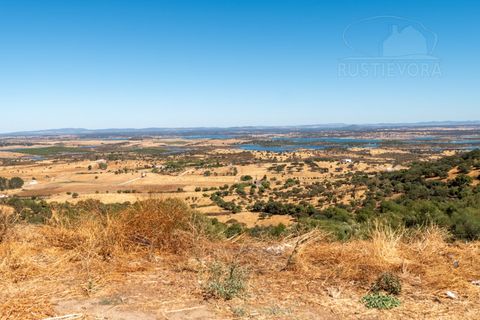 Farm i Evora, Evora, Evora - € 277.000 | Ref: 2608 - foto 22