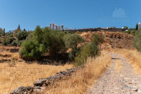 Farm i Evora, Evora, Evora - € 277.000 | Ref: 2608 - foto 23